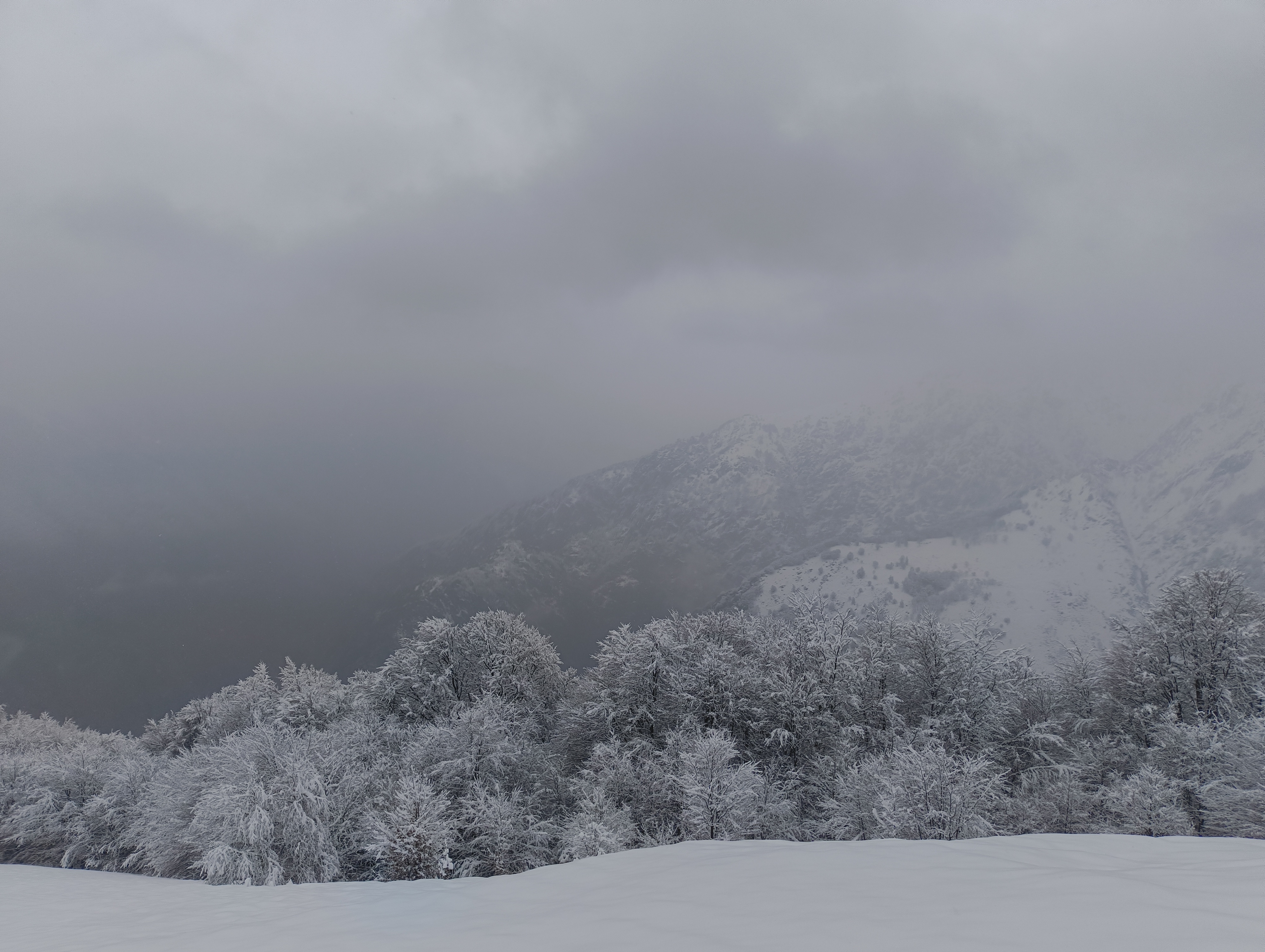 Foto n° 20 del trekking Bivacco del Gufo - Pizzo Pernice │ Alpe Curgei